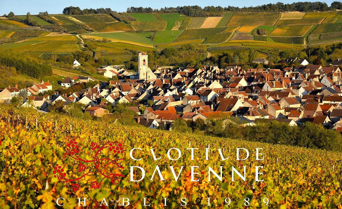 Domaine Clotilde Davenne, Winery in Préhy