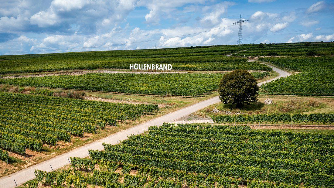 Burgunderhof Merkel winery in Gundersheim