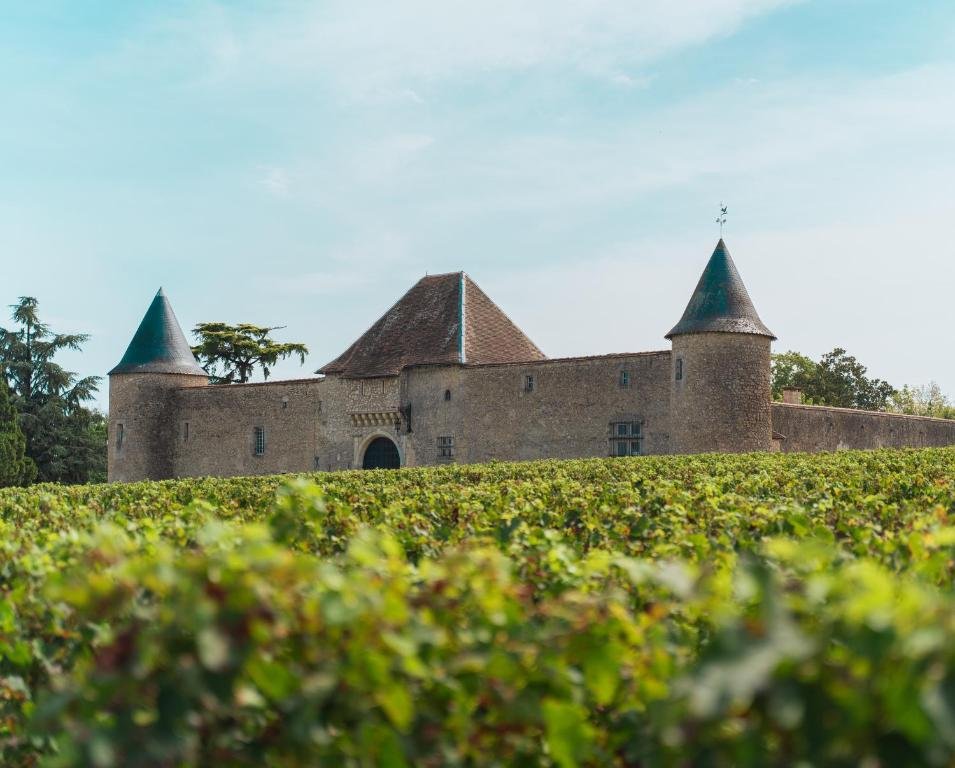 Château d'Eck, Winery in Cadaujac