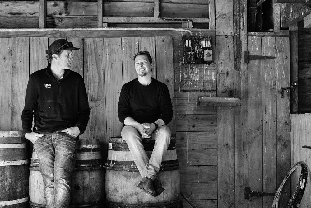 Catalina Sounds, Winery in Blenheim