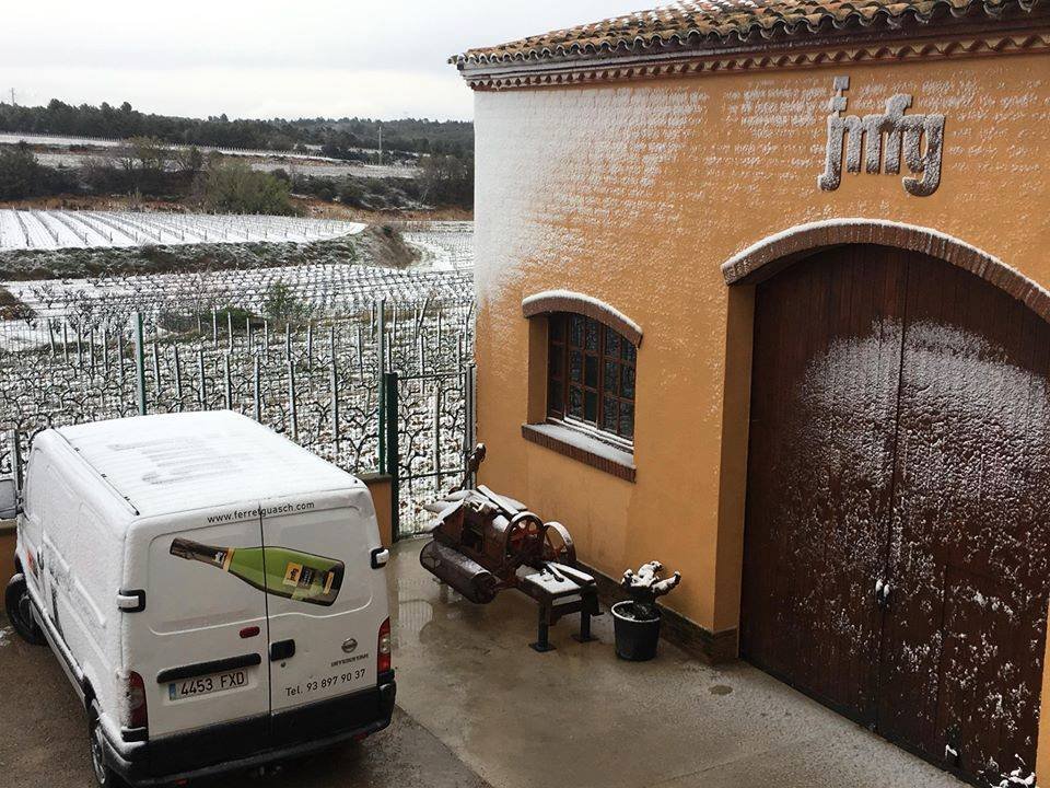 Cavas Ferret, Barcelona, Spain