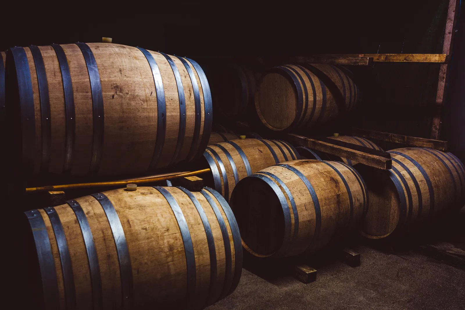 Domaine de Joy, Panjas, France