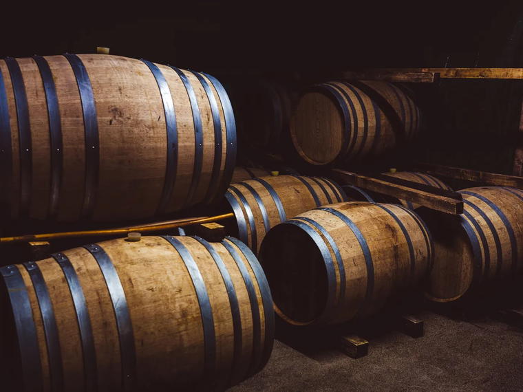 Domaine de Joy, Panjas, France