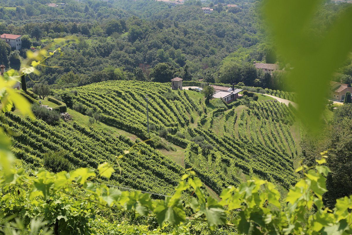 Asolo Manor, Winery in Asolo