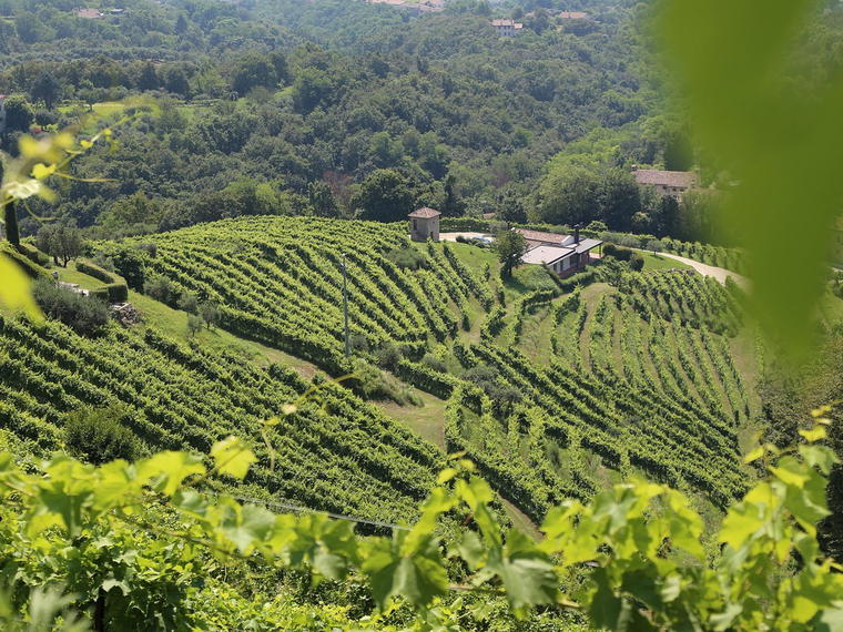 Asolo Manor, Asolo, Italy