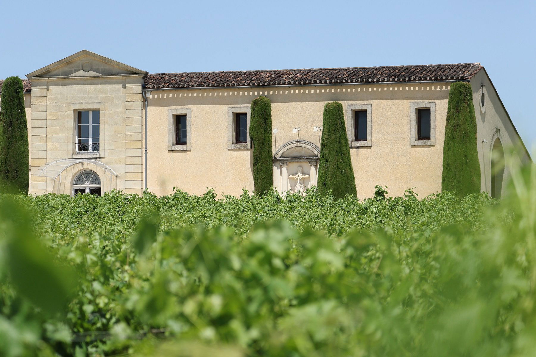 Château Cadet-Bon, Winery in Saint-Émilion