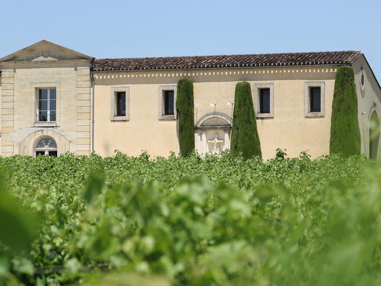 Château Cadet-Bon, Saint-Émilion, France