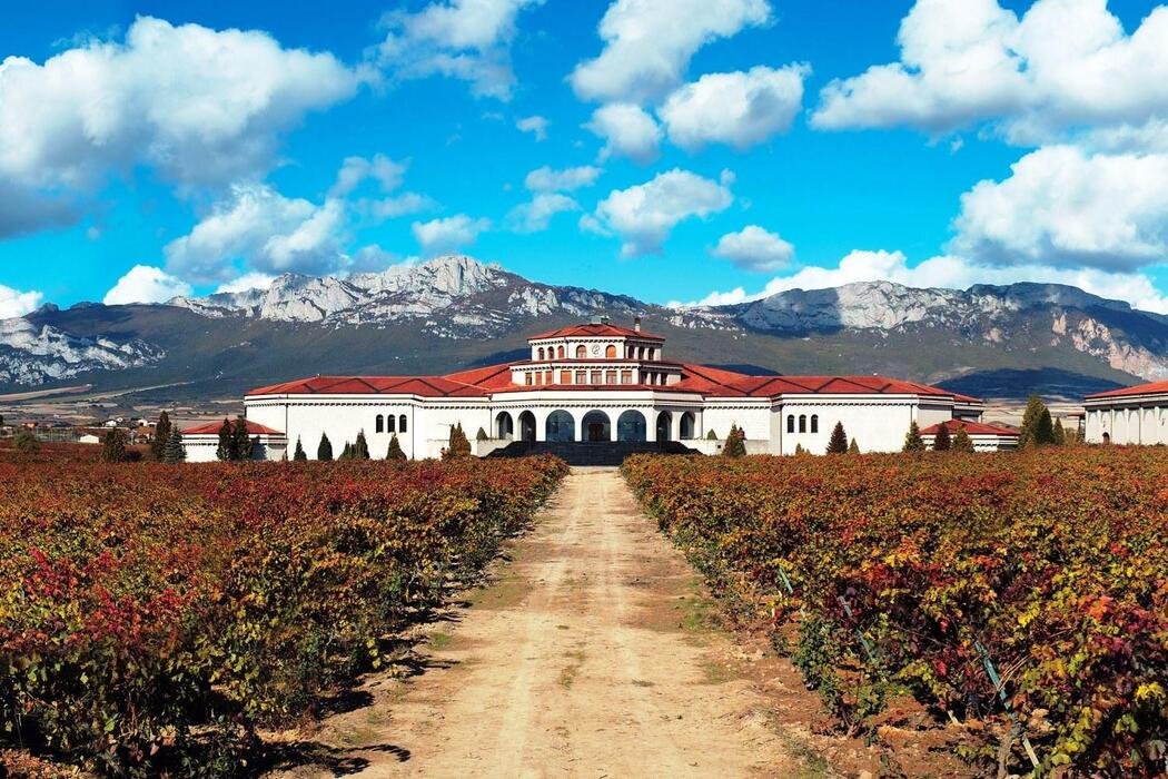 Bodegas Campillo, Winery in Laguardia