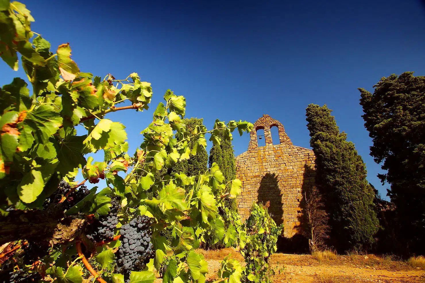 Château Fabre Gasparets – Famille Fabre, Winery in Boutenac