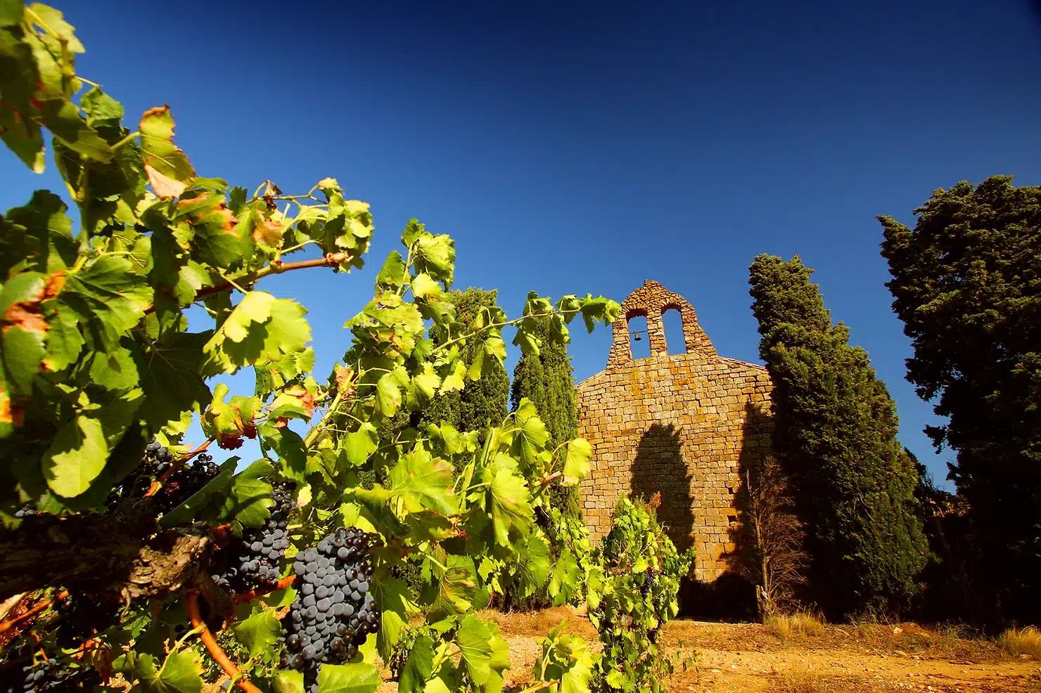 Château Fabre Gasparets – Famille Fabre, Boutenac, France