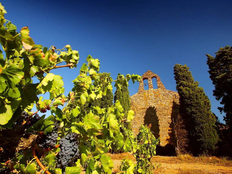 Château Fabre Gasparets – Famille Fabre, Boutenac, France