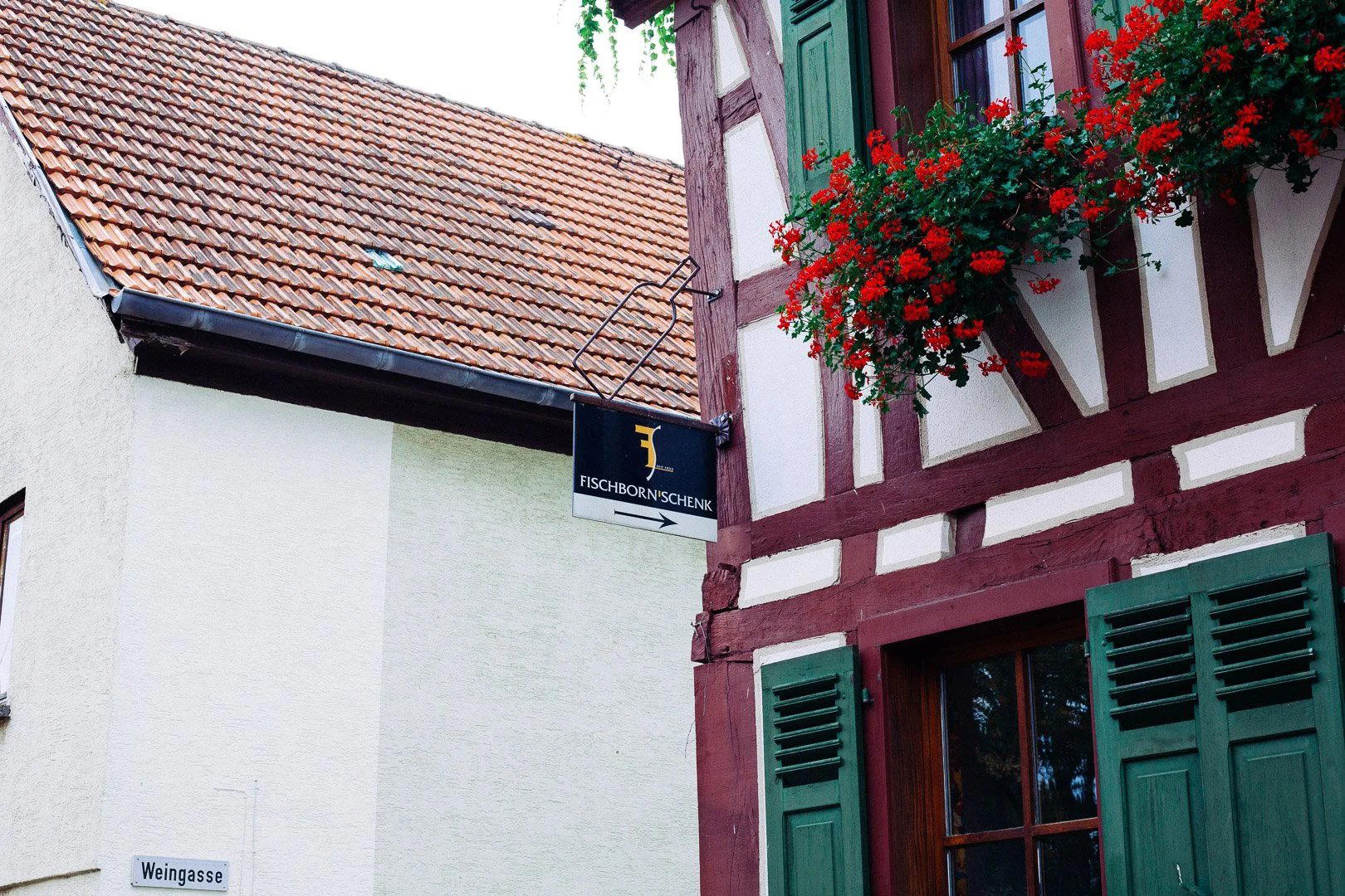 Weingut Fischborn-Schenk winery in Biebelsheim