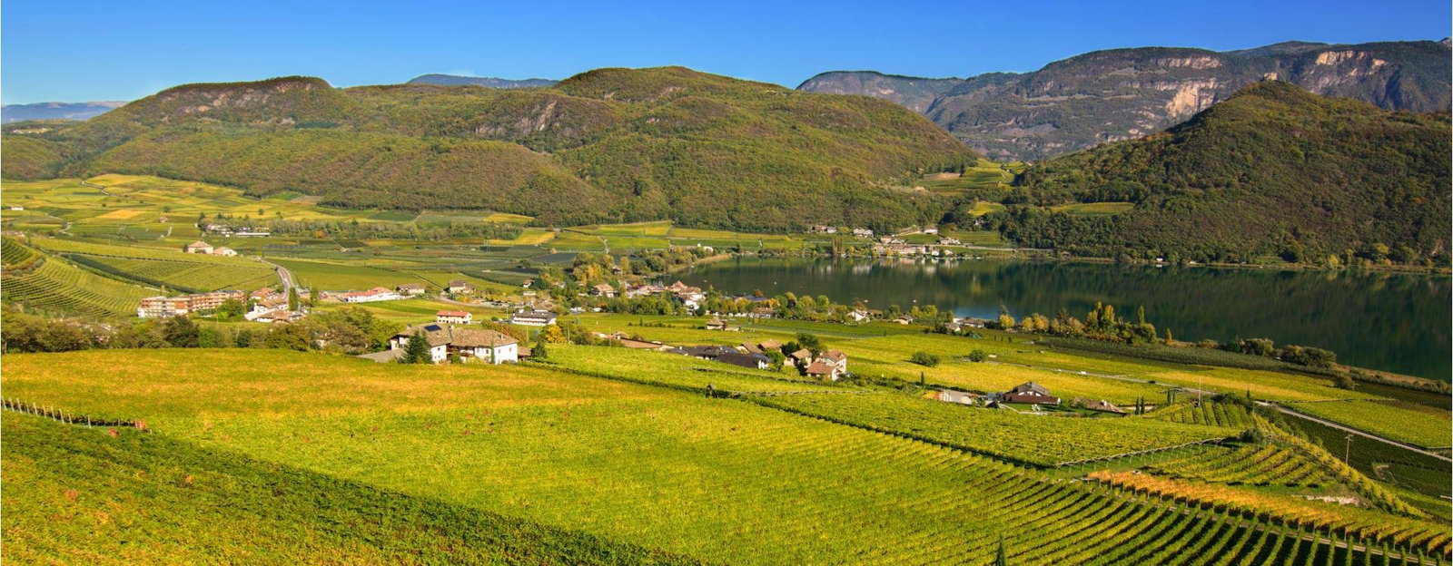Baron di Pauli, Kaltern, Italy
