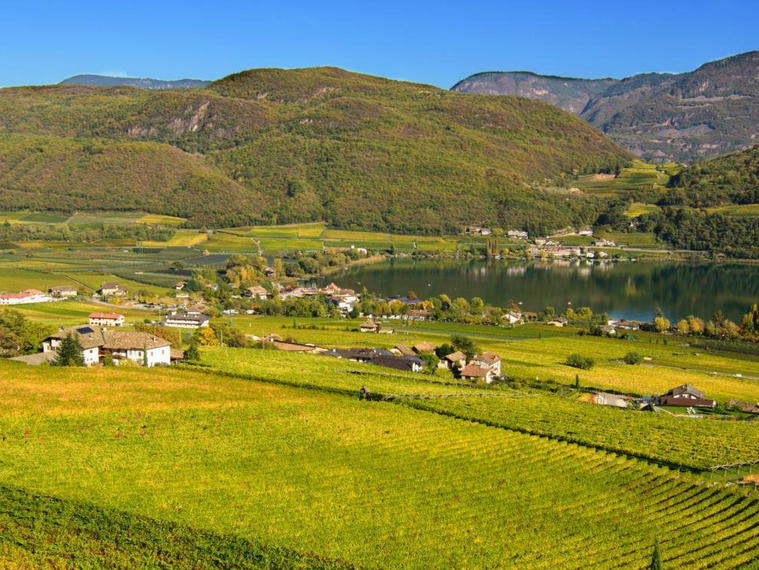 Baron di Pauli, Kaltern, Italy