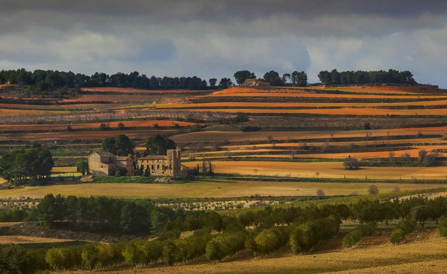 Celler del Roure, Moixent, Spain