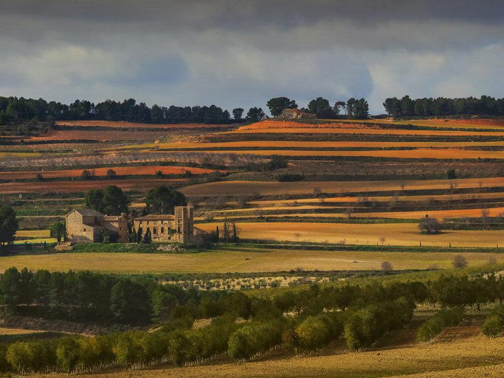 Celler del Roure, Moixent, Spain