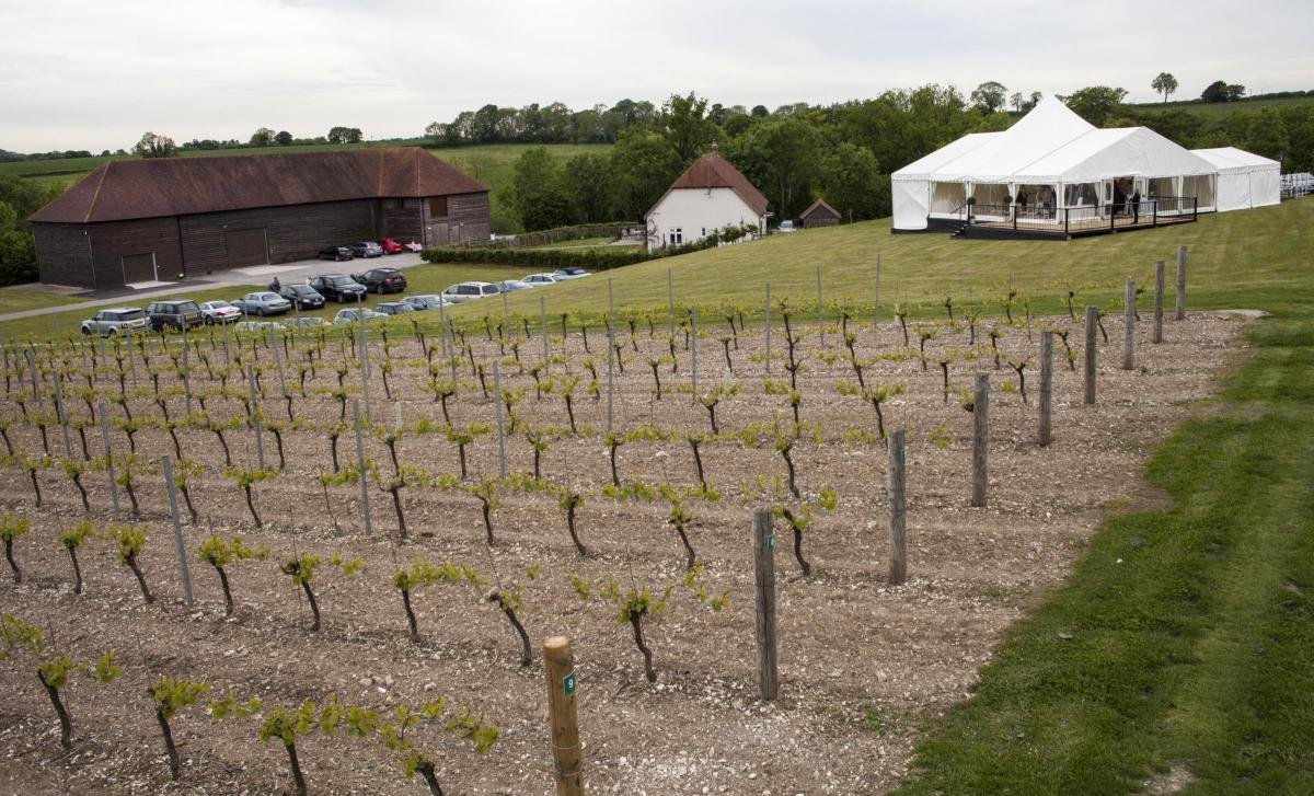 Exton Park Vineyard, Exton, United Kingdom