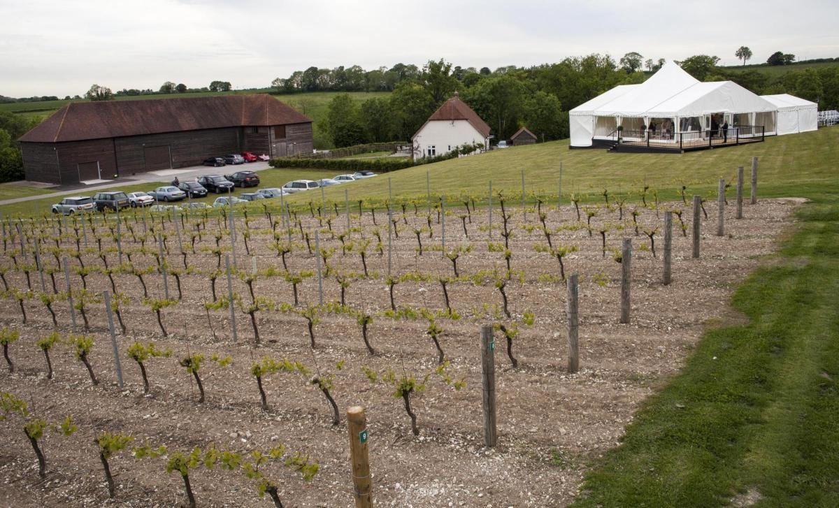 Exton Park Vineyard winery in Exton