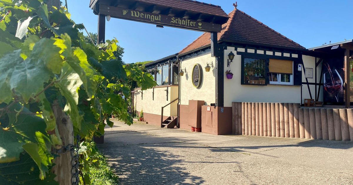 Weingut Harald Schäffer winery in Schweigen-Rechtenbach