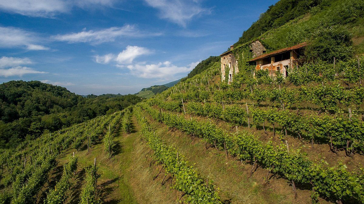 Bacio della Luna, Winery in Vidor