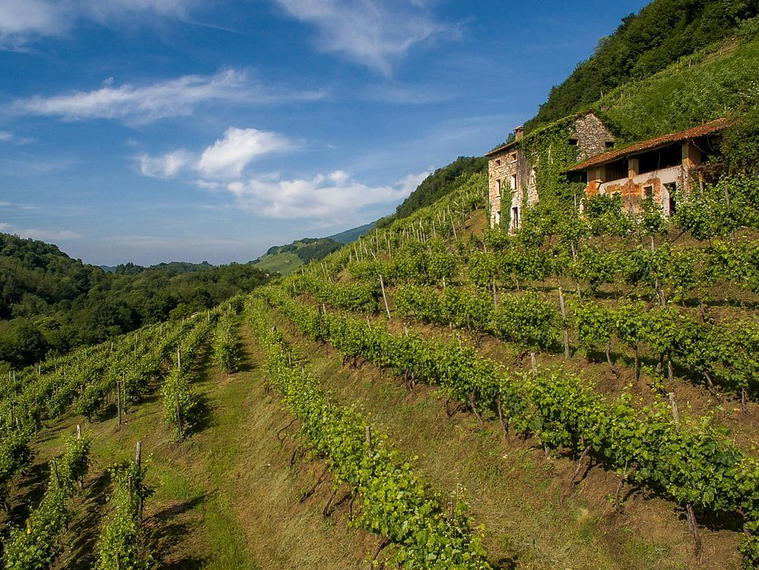 Bacio della Luna, Vidor, Italy