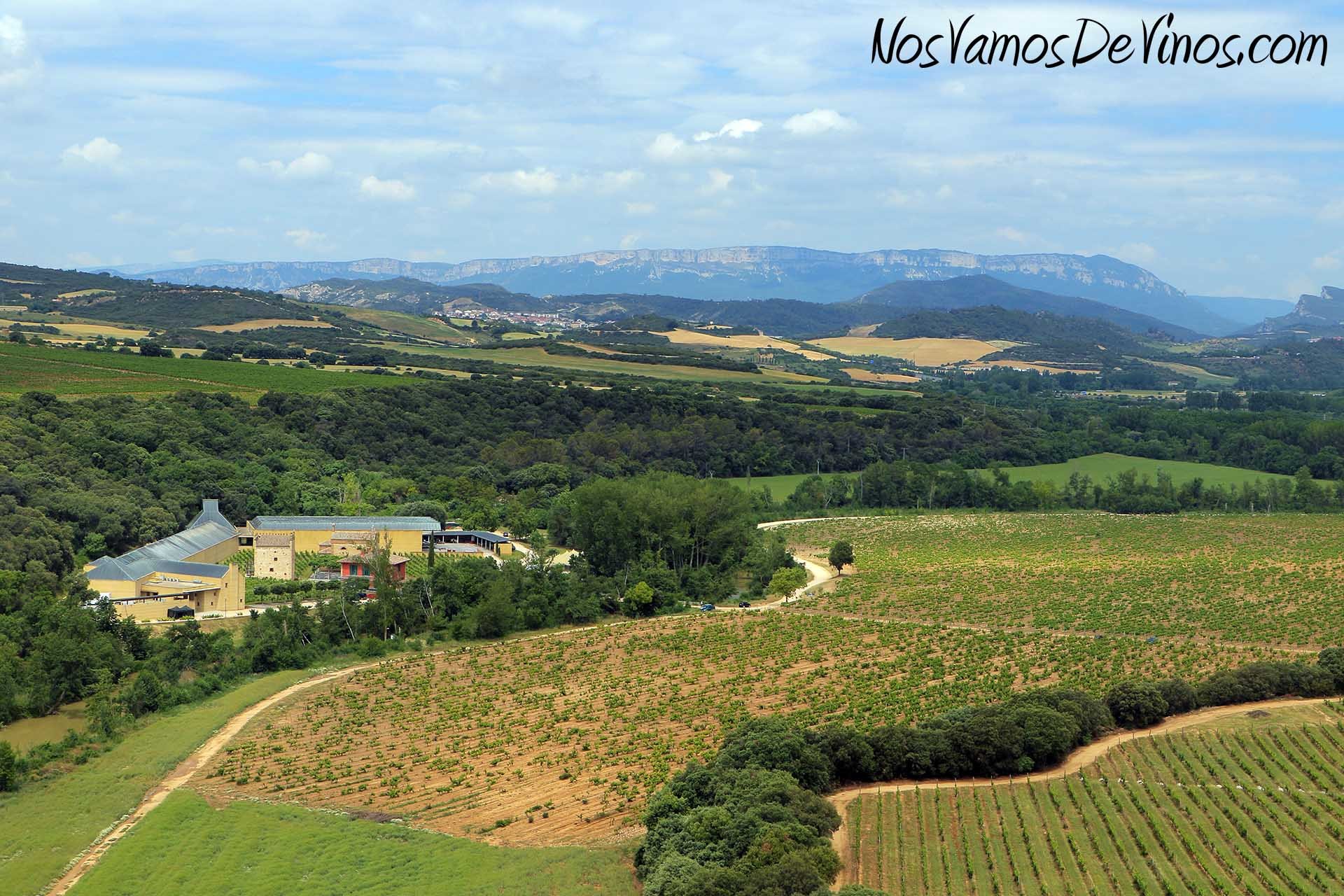 BODEGAS CA N'TINA, Ses Salines, Spain