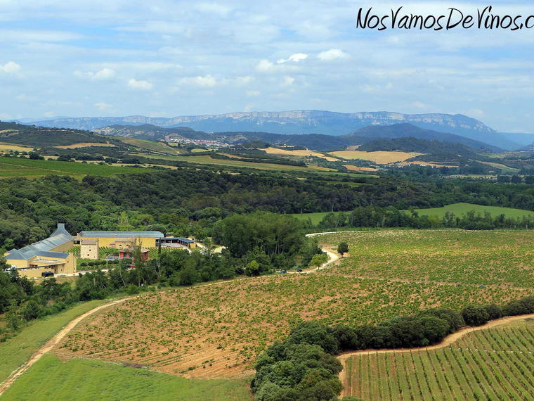 BODEGAS CA N'TINA, Ses Salines, Spain