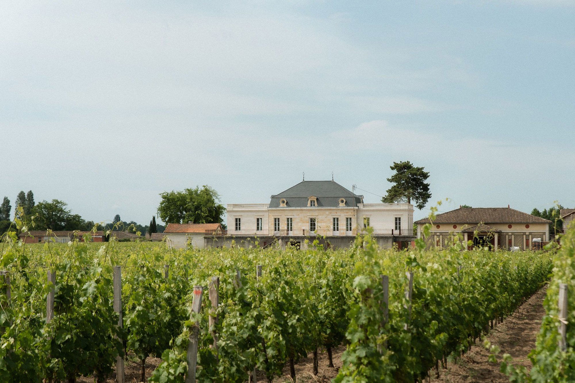 Château Trianon, Winery in Saint-Émilion