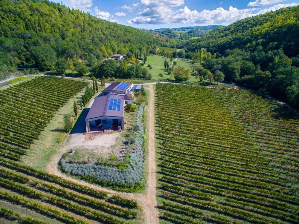 Carus, San Casciano Val Di Pesa Fi, Italy
