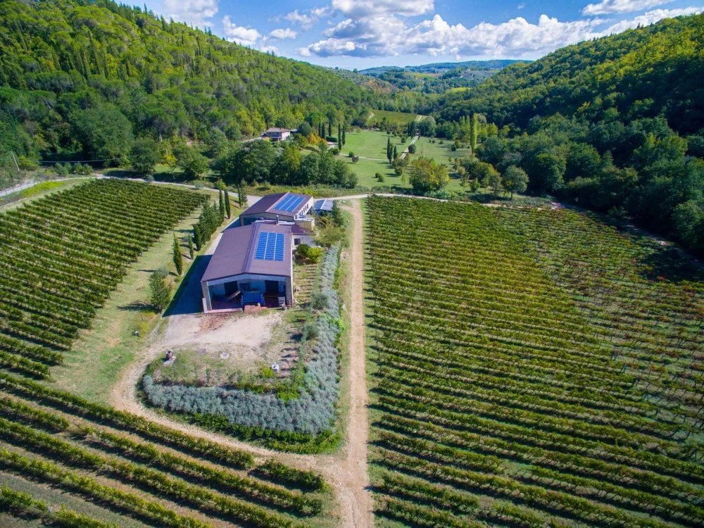 Carus, Winery in San Casciano Val Di Pesa Fi