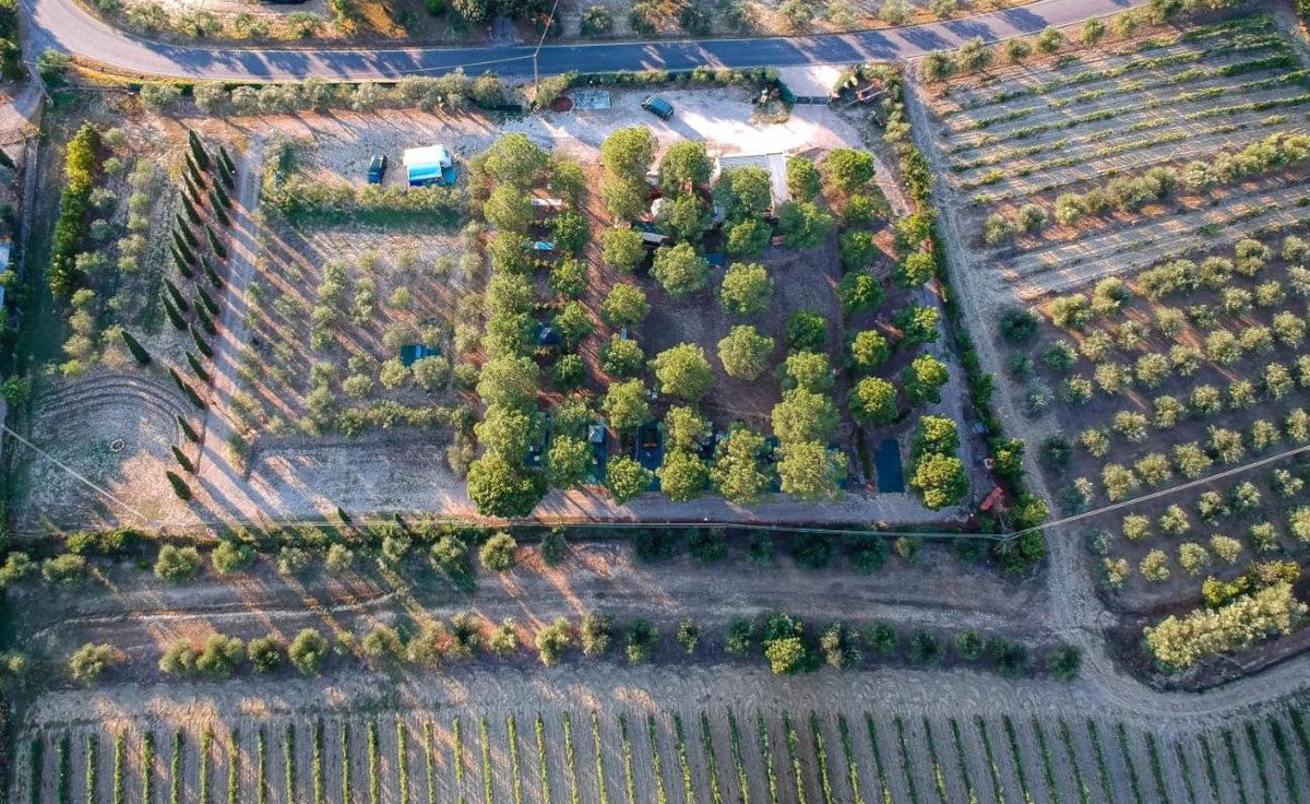 Az. Agricola Falisca, Certaldo (FI), Italy