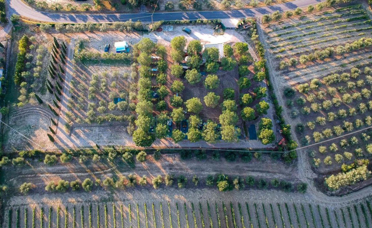 Az. Agricola Falisca winery in Certaldo (FI)
