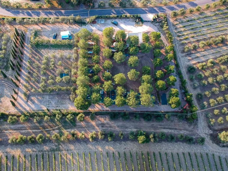 Az. Agricola Falisca, Certaldo (FI), Italy