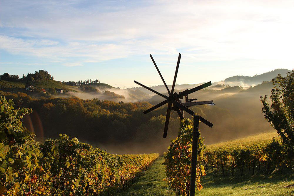 Weingut Riegelnegg - Olwitschhof winery in Gamlitz