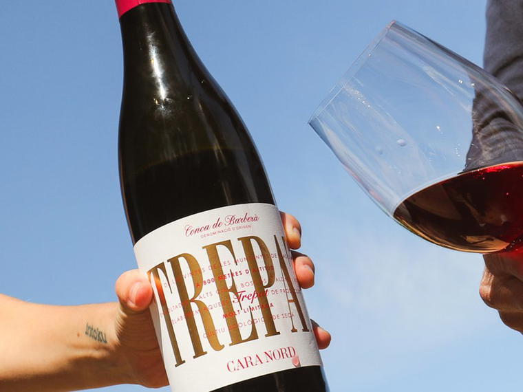 CARA NORD CELLER SL, El Vilosell, Spain