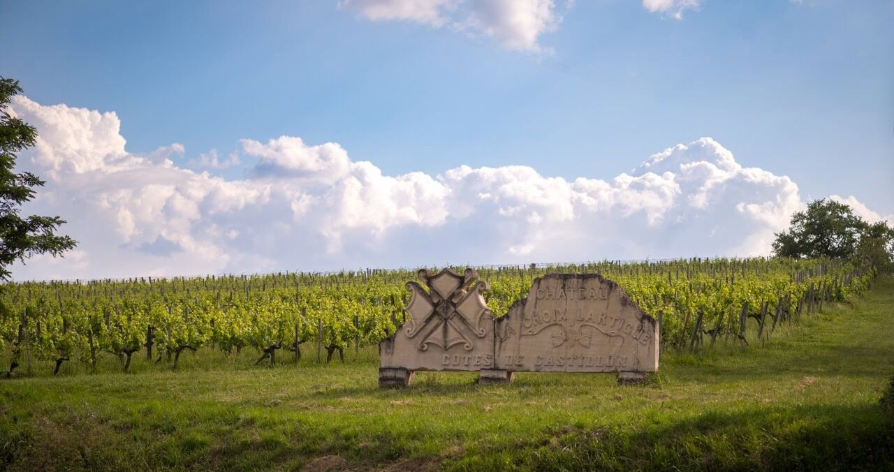 Château La Croix Lartigue, Winery in Belves De Castillon
