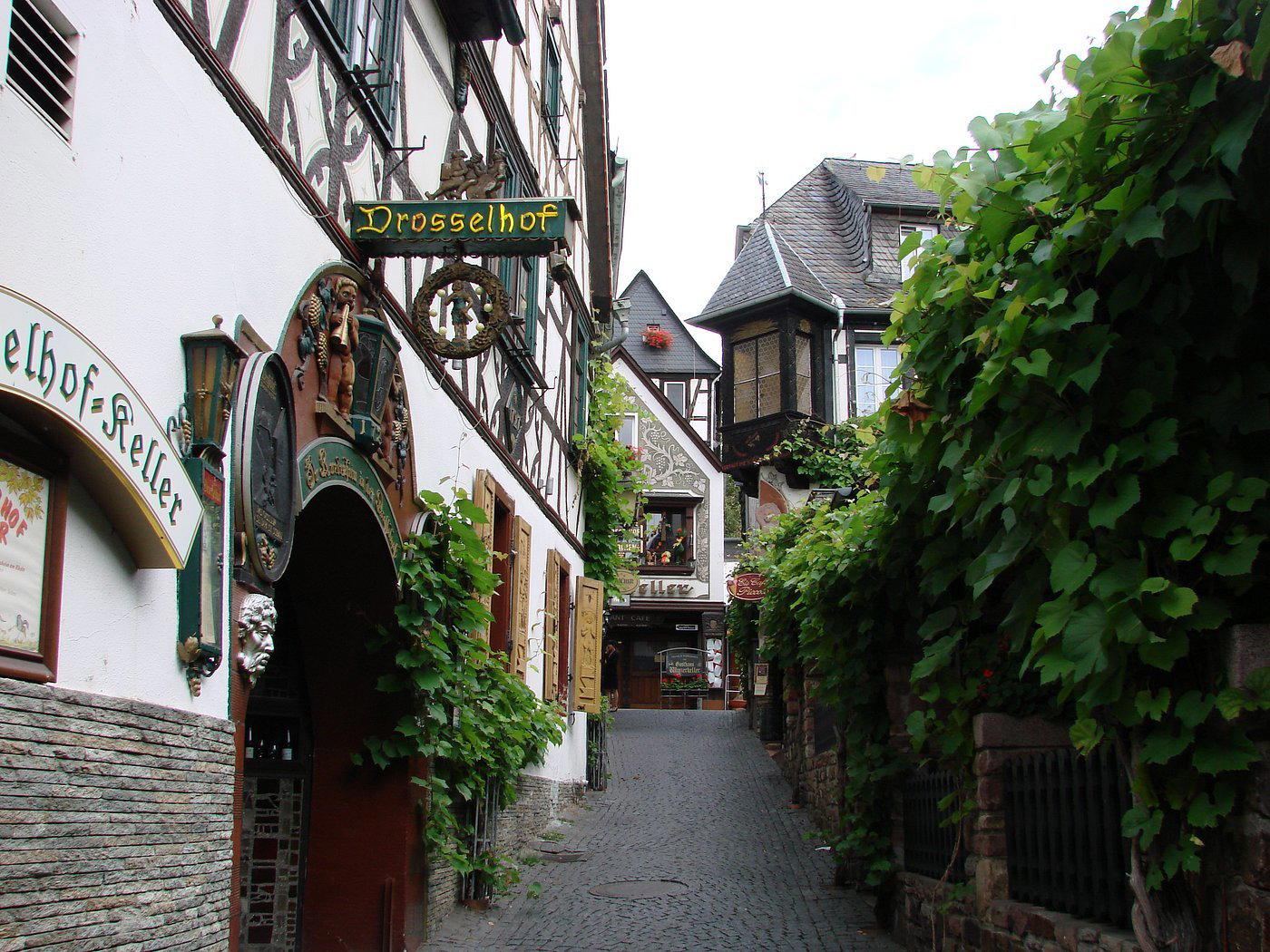 Bischöfliches Weingut Rüdesheim GmbH winery in Rüdesheim am Rhein
