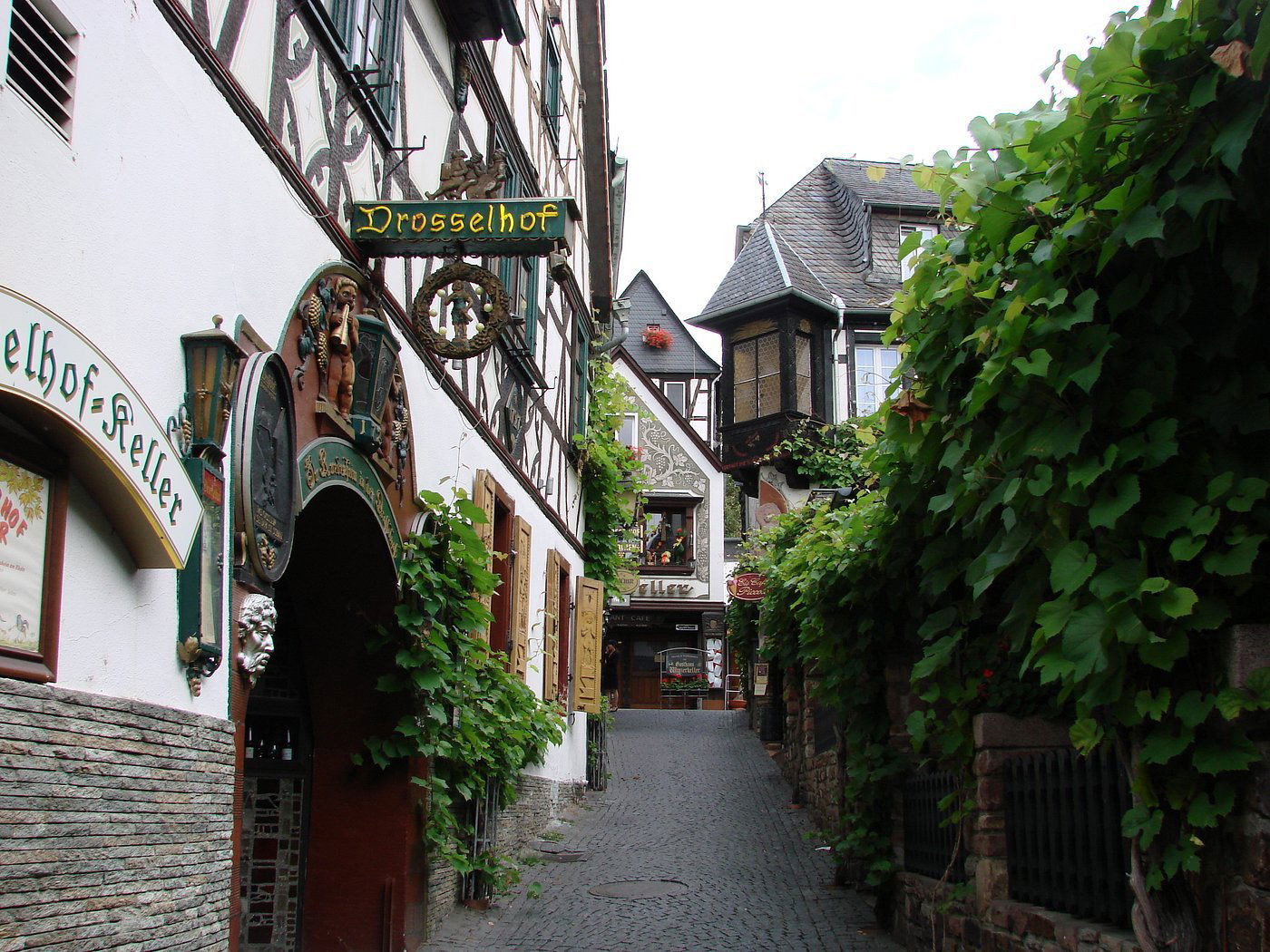 Bischöfliches Weingut Rüdesheim GmbH, Winery in Rüdesheim am Rhein