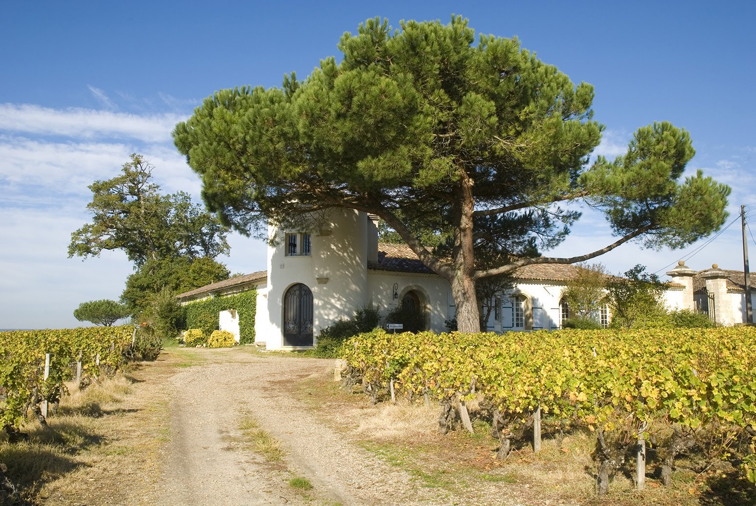 Château Lamothe-Despujols, Sauternes, France