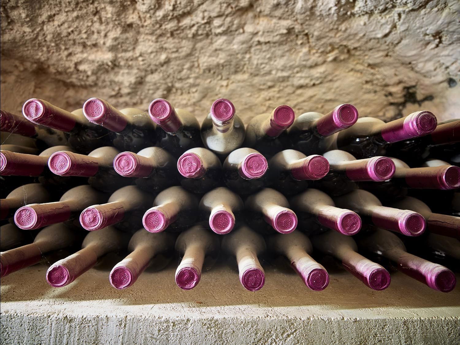 Bodega Señorío de Chozas, Winery in Chozas De Abajo Leon