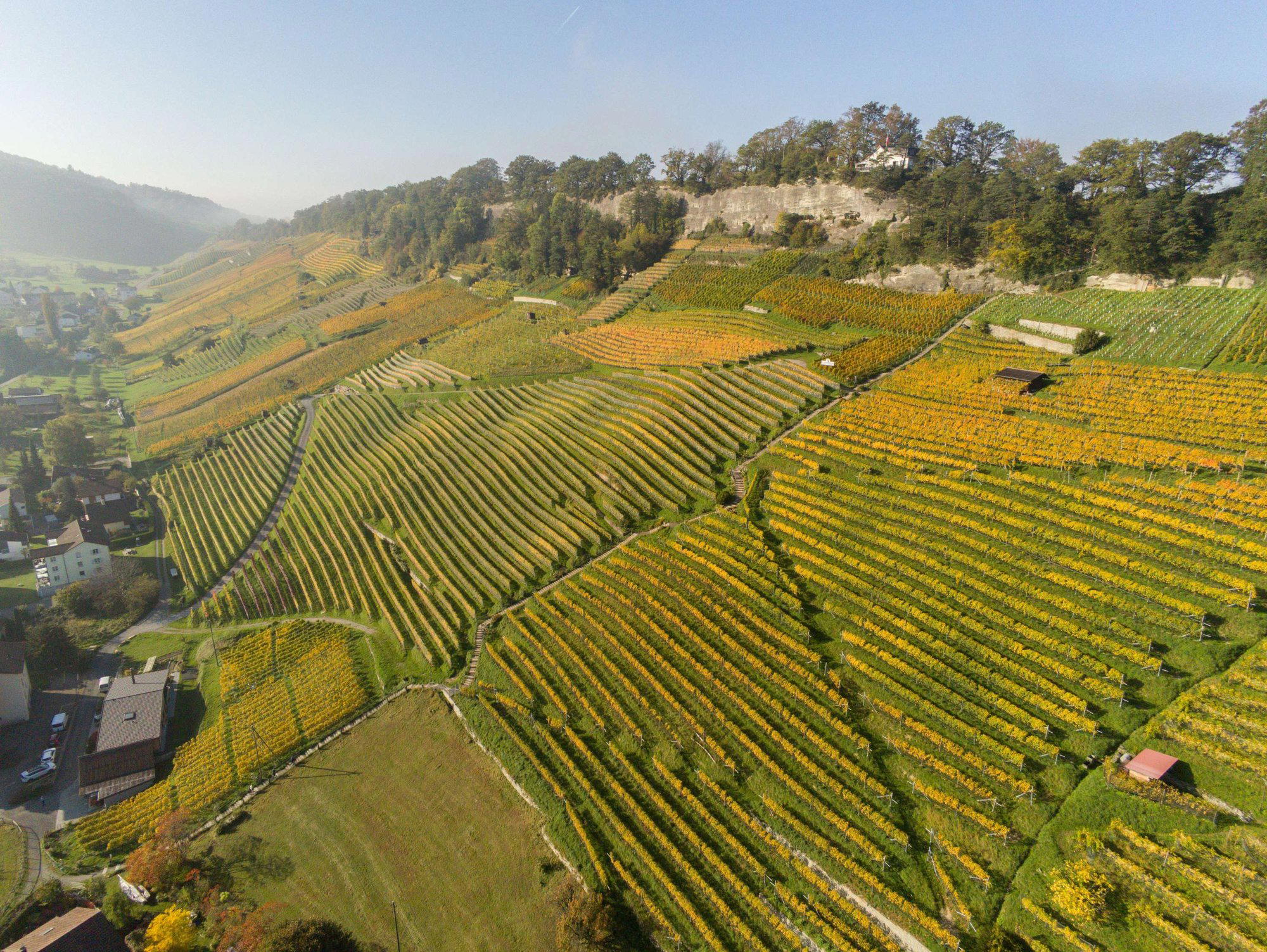 Weingut am Steinig Tisch, Roman Rutishauser winery in Thal