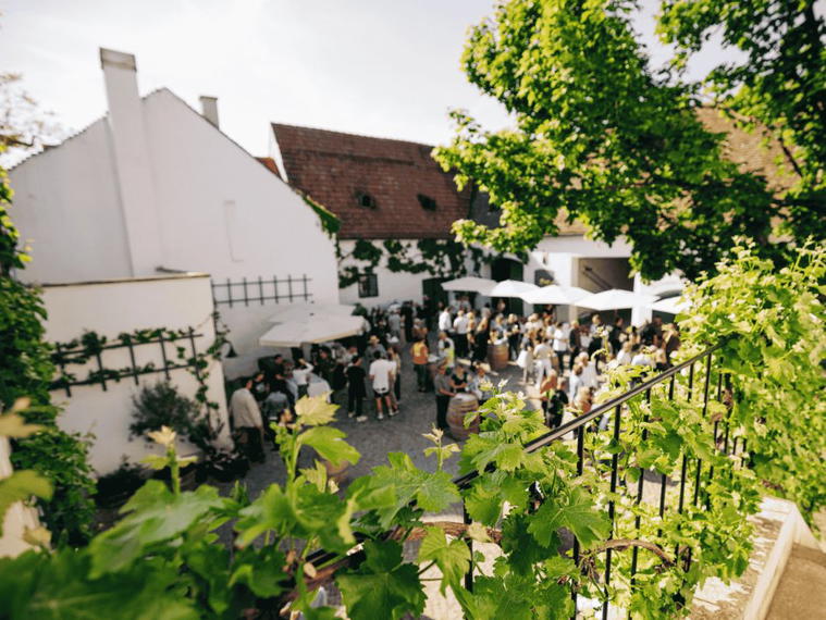 BIO Weinbau Karl Ziß, Röschitz, Austria