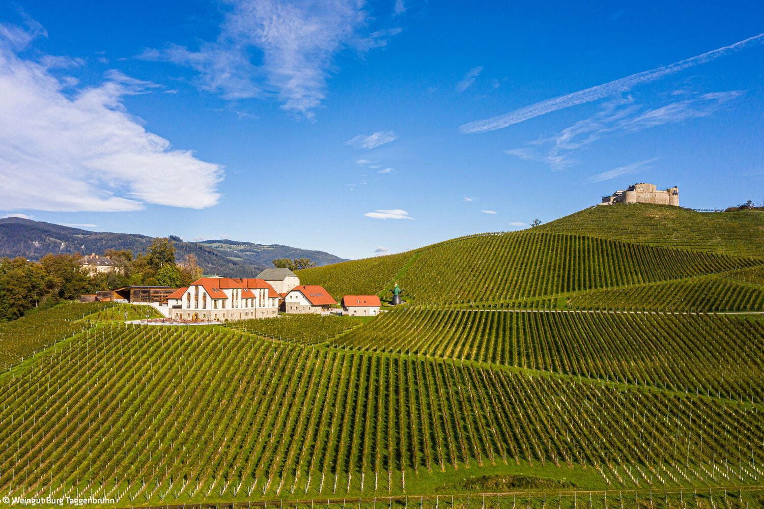 Avaa Verjus, Winery in Berlin