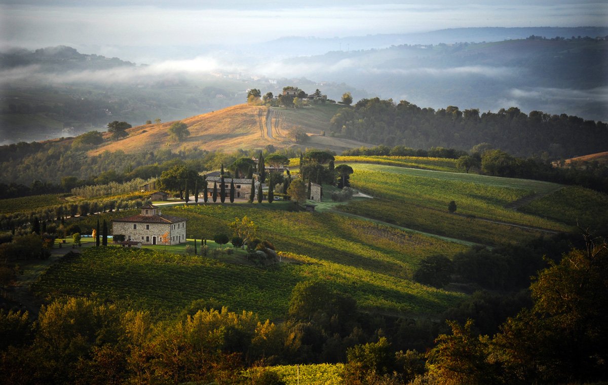 Decugnano dei Barbi