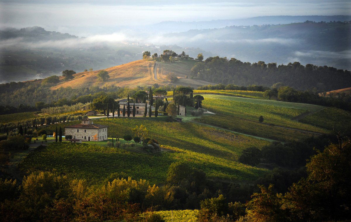 Decugnano dei Barbi, Winery in Orvieto