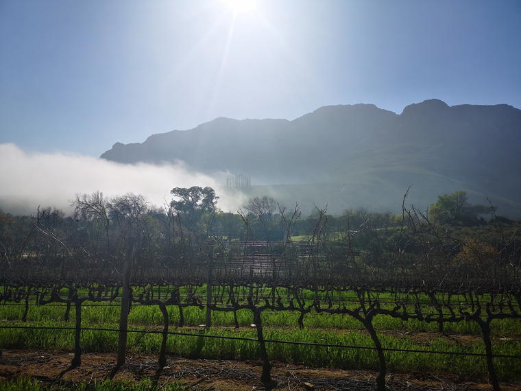 Keermont Vineyards, Stellenbosch, South Africa