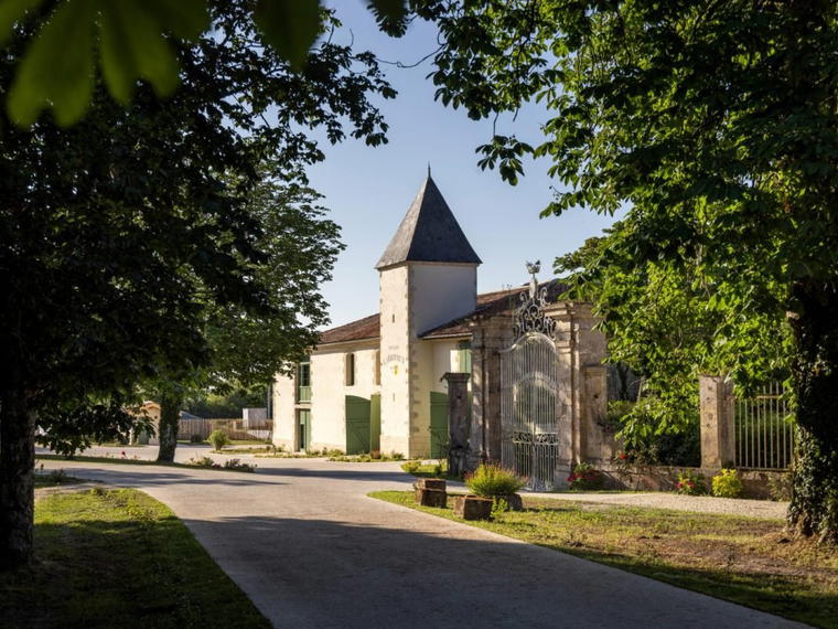 Château Larrivaux, Cissac Medoc, France