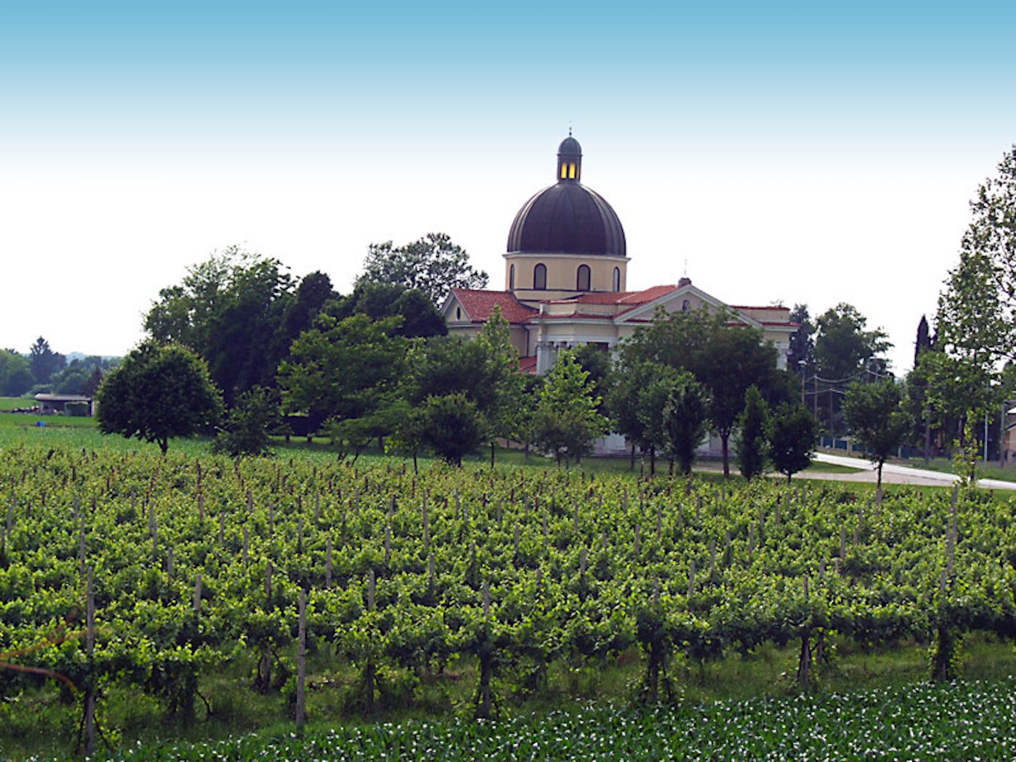 Cabert, Winery in Bertiolo