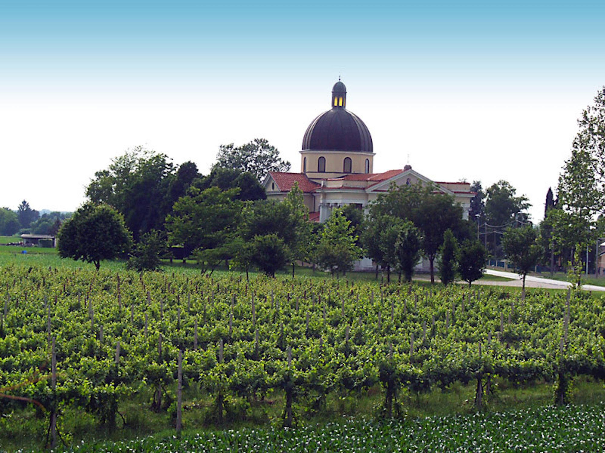 Cabert winery in Bertiolo, Italy
