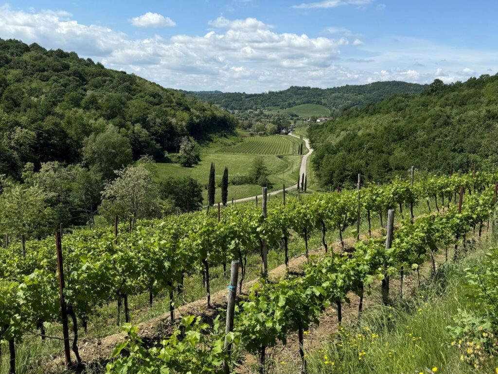 La Rajade winery in Dolegna del Collio, Italy
